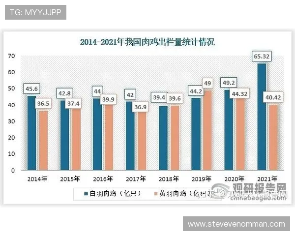 华体会电竞培训在行业中的优势与发展前景分析